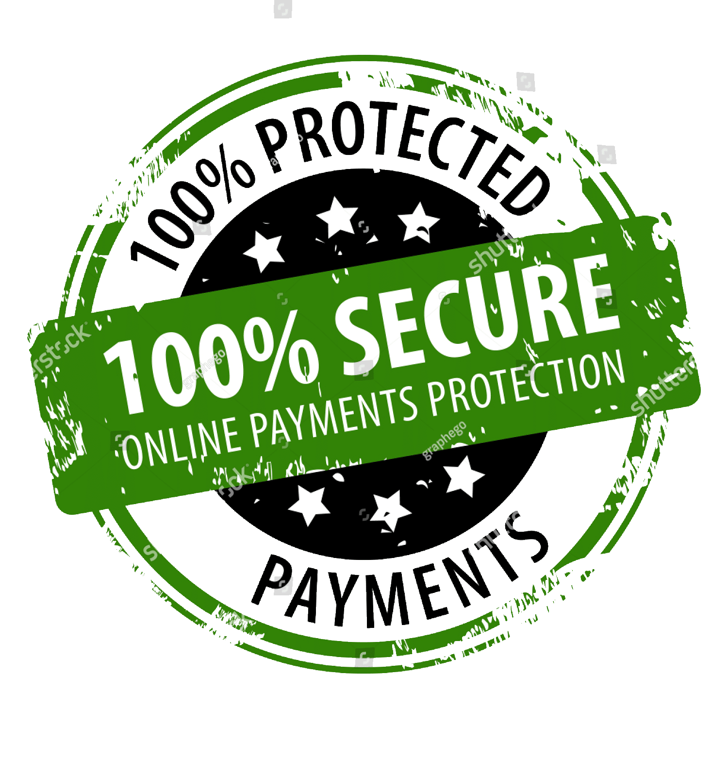 100% Secure Checkout Icon